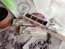 Charger l'image dans la galerie, La Boîte Découverte 4 origines